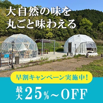学割プラン