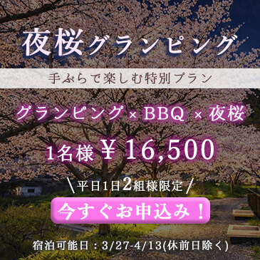 夜桜グランピング