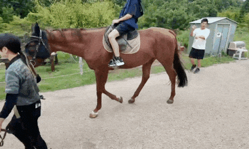 乗馬体験の様子